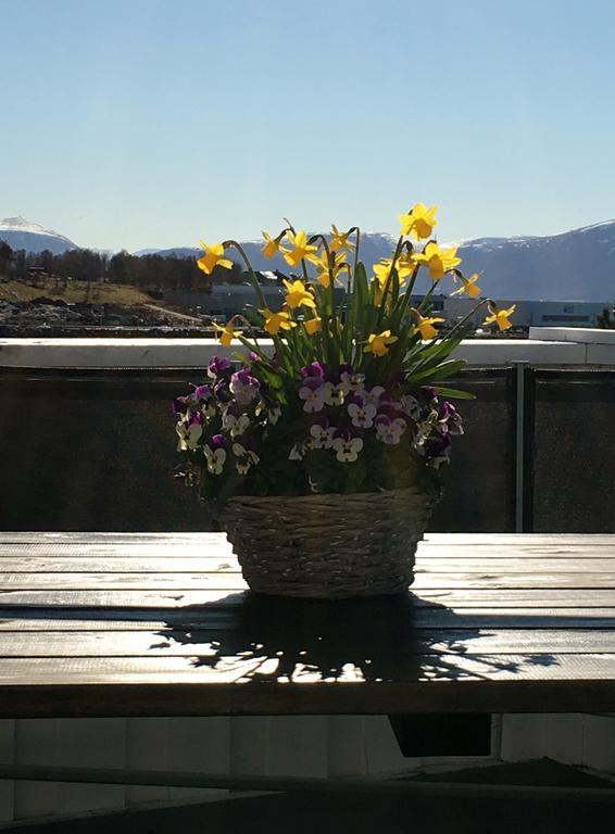 Ytterland Apartments Alesund Bagian luar foto